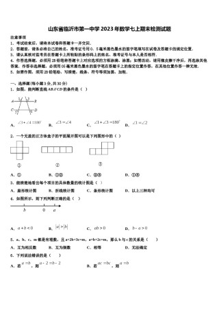 山东省临沂市第一中学2023年数学七上期末检测试题含解析.doc