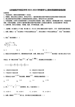 山东省临沂市青云中学2023-2024学年数学七上期末质量跟踪监视试题含解析.doc