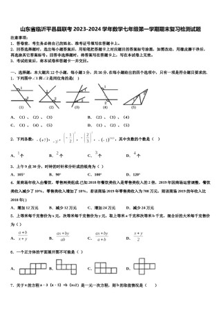山东省临沂平邑县联考2023-2024学年数学七年级第一学期期末复习检测试题含解析.doc