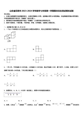 山东省乐陵市2023-2024学年数学七年级第一学期期末综合测试模拟试题含解析.doc