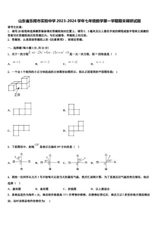 山东省乐陵市实验中学2023-2024学年七年级数学第一学期期末调研试题含解析.doc