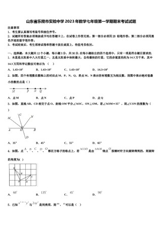 山东省乐陵市实验中学2023年数学七年级第一学期期末考试试题含解析.doc