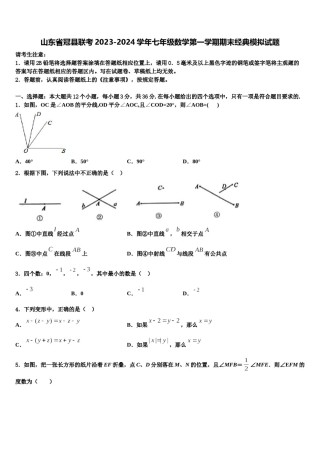 山东省冠县联考2023-2024学年七年级数学第一学期期末经典模拟试题含解析.doc