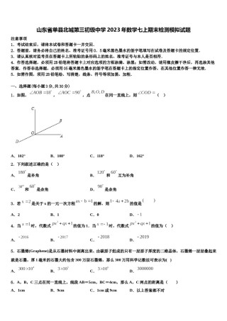 山东省单县北城第三初级中学2023年数学七上期末检测模拟试题含解析.doc