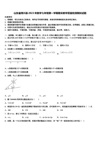 山东省博兴县2023年数学七年级第一学期期末教学质量检测模拟试题含解析.doc