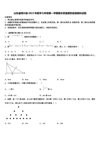 山东省博兴县2023年数学七年级第一学期期末质量跟踪监视模拟试题含解析.doc