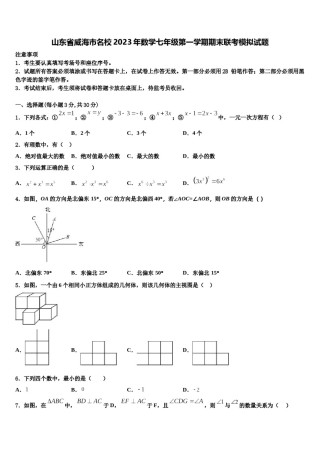山东省威海市名校2023年数学七年级第一学期期末联考模拟试题含解析.doc