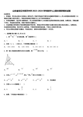 山东省安丘市景芝中学2023-2024学年数学七上期末调研模拟试题含解析.doc