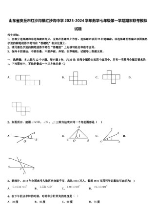 山东省安丘市红沙沟镇红沙沟中学2023-2024学年数学七年级第一学期期末联考模拟试题含解析.doc