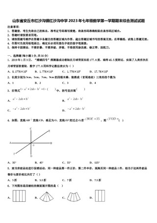 山东省安丘市红沙沟镇红沙沟中学2023年七年级数学第一学期期末综合测试试题含解析.doc
