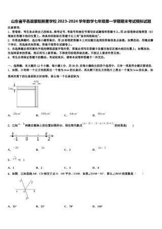 山东省平邑县蒙阳新星学校2023-2024学年数学七年级第一学期期末考试模拟试题含解析.doc