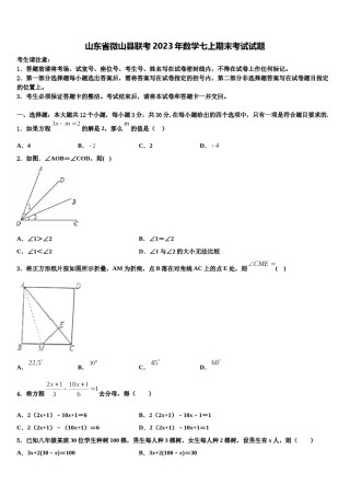 山东省微山县联考2023年数学七上期末考试试题含解析.doc