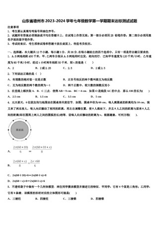 山东省德州市2023-2024学年七年级数学第一学期期末达标测试试题含解析.doc
