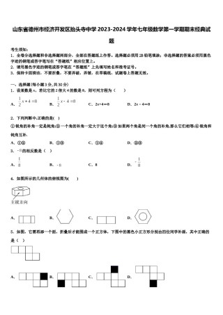 山东省德州市经济开发区抬头寺中学2023-2024学年七年级数学第一学期期末经典试题含解析.doc