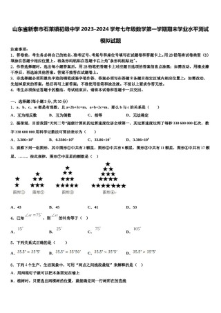 山东省新泰市石莱镇初级中学2023-2024学年七年级数学第一学期期末学业水平测试模拟试题含解析.doc
