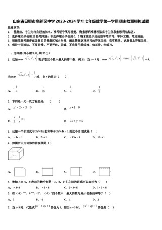 山东省日照市高新区中学2023-2024学年七年级数学第一学期期末检测模拟试题含解析.doc