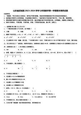 山东省武城县2023-2024学年七年级数学第一学期期末调研试题含解析.doc