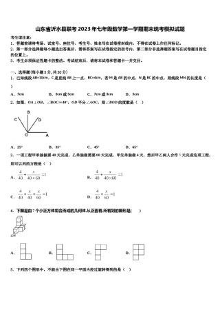 山东省沂水县联考2023年七年级数学第一学期期末统考模拟试题含解析.doc