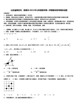 山东省泰安市、新泰市2023年七年级数学第一学期期末联考模拟试题含解析.doc