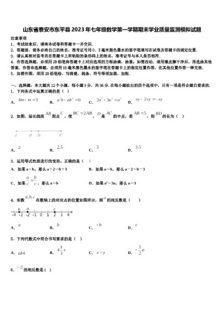 山东省泰安市东平县2023年七年级数学第一学期期末学业质量监测模拟试题含解析.doc