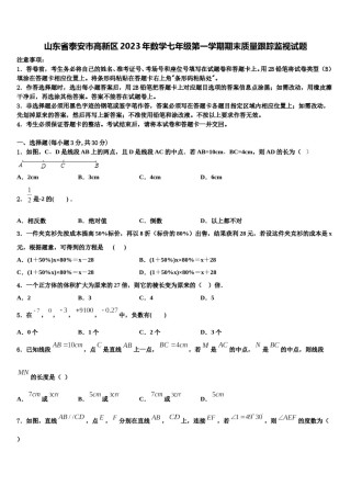 山东省泰安市高新区2023年数学七年级第一学期期末质量跟踪监视试题含解析.doc