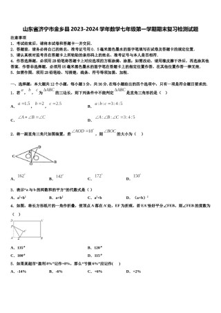 山东省济宁市金乡县2023-2024学年数学七年级第一学期期末复习检测试题含解析.doc