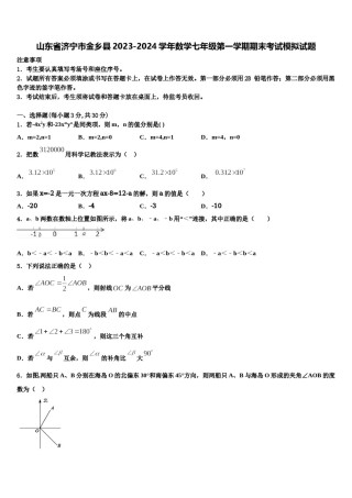 山东省济宁市金乡县2023-2024学年数学七年级第一学期期末考试模拟试题含解析.doc