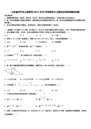 山东省济宁汶上县联考2023-2024学年数学七上期末达标检测模拟试题含解析.doc