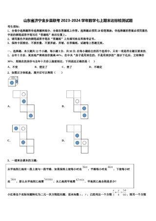 山东省济宁金乡县联考2023-2024学年数学七上期末达标检测试题含解析.doc