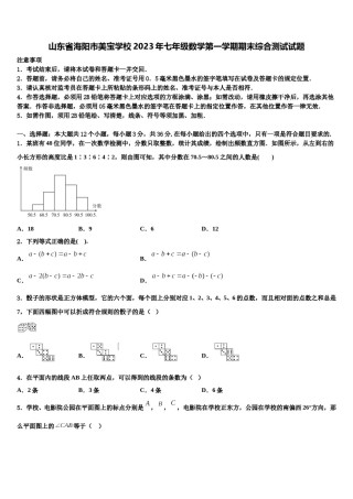 山东省海阳市美宝学校2023年七年级数学第一学期期末综合测试试题含解析.doc