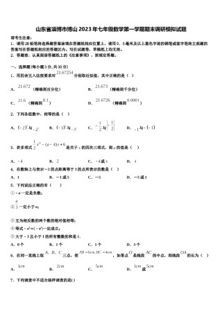山东省淄博市博山2023年七年级数学第一学期期末调研模拟试题含解析.doc