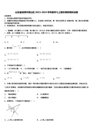 山东省淄博市博山区2023-2024学年数学七上期末调研模拟试题含解析.doc