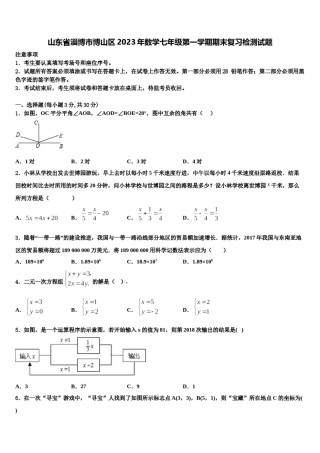 山东省淄博市博山区2023年数学七年级第一学期期末复习检测试题含解析.doc