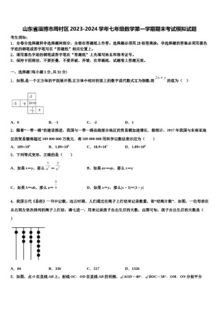 山东省淄博市周村区2023-2024学年七年级数学第一学期期末考试模拟试题含解析.doc