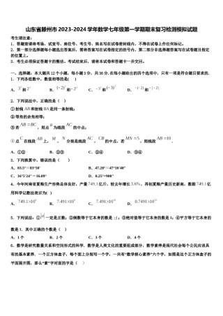 山东省滕州市2023-2024学年数学七年级第一学期期末复习检测模拟试题含解析.doc