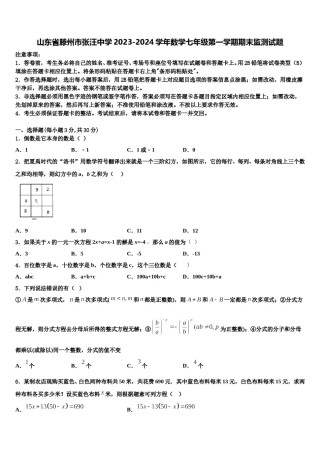 山东省滕州市张汪中学2023-2024学年数学七年级第一学期期末监测试题含解析.doc