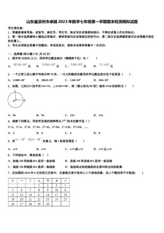山东省滨州市卓越2023年数学七年级第一学期期末检测模拟试题含解析.doc