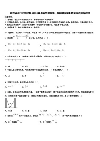 山东省滨州市博兴县2023年七年级数学第一学期期末学业质量监测模拟试题含解析.doc