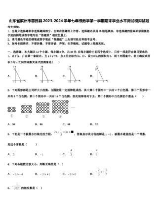 山东省滨州市惠民县2023-2024学年七年级数学第一学期期末学业水平测试模拟试题含解析.doc