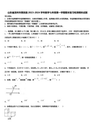 山东省滨州市惠民县2023-2024学年数学七年级第一学期期末复习检测模拟试题含解析.doc