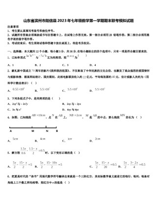 山东省滨州市阳信县2023年七年级数学第一学期期末联考模拟试题含解析.doc