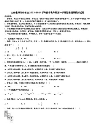 山东省潍坊市名校2023-2024学年数学七年级第一学期期末调研模拟试题含解析.doc