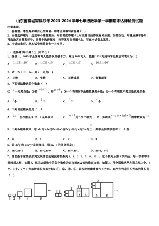 山东省聊城冠县联考2023-2024学年七年级数学第一学期期末达标检测试题含解析.doc