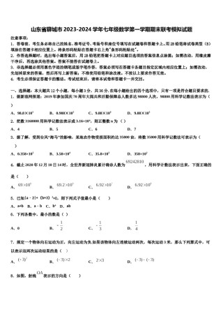 山东省聊城市2023-2024学年七年级数学第一学期期末联考模拟试题含解析.doc