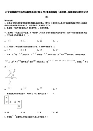 山东省聊城市冠县东古城镇中学2023-2024学年数学七年级第一学期期末达标测试试题含解析.doc