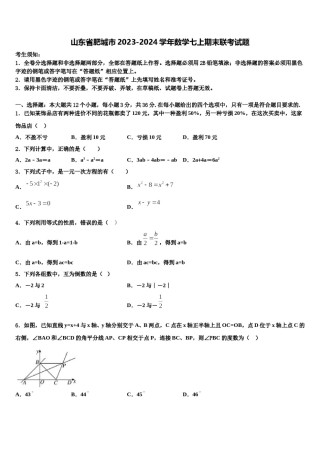 山东省肥城市2023-2024学年数学七上期末联考试题含解析.doc
