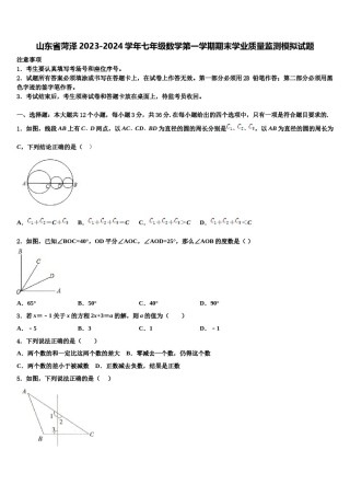 山东省菏泽2023-2024学年七年级数学第一学期期末学业质量监测模拟试题含解析.doc