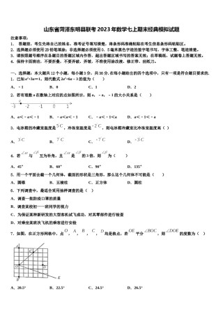 山东省菏泽东明县联考2023年数学七上期末经典模拟试题含解析.doc