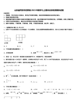 山东省菏泽市巨野县2023年数学七上期末达标检测模拟试题含解析.doc