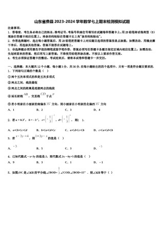 山东省费县2023-2024学年数学七上期末检测模拟试题含解析.doc